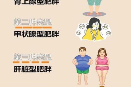 从命理看身材：揭秘你是胖命还是瘦命的秘密