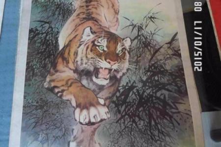 属虎酉时出生男孩的命理解析与人生指导