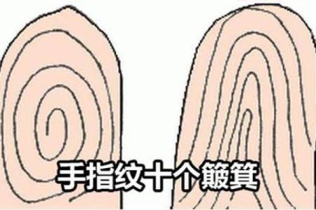 十个簸箕是什么命？揭示命理与生活的秘密！
