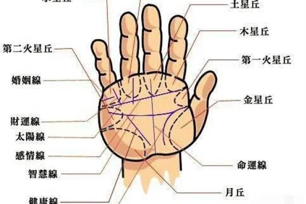 十一月女龙的命运解析：探寻性格与运势的奥秘
