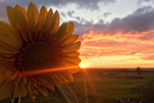 农历4月初五出生的女孩命理解析:如何让她的人生更加灿烂 农历4月初五出生的女孩命理解析:如何让她的人生更加灿烂