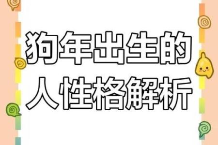 七零年出生的狗：命运与性格的奇妙结合
