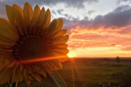 农历4月初五出生的女孩命理解析：如何让她的人生更加灿烂