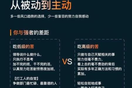 生命与金钱的较量：为何我们为工作付出一切？