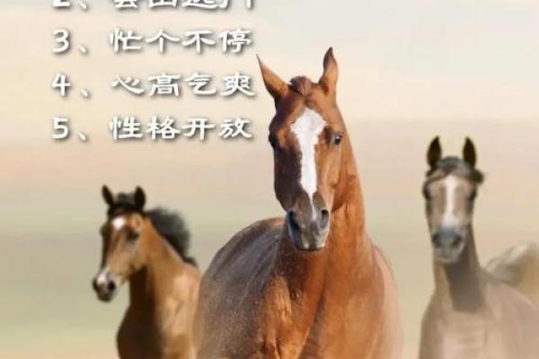 男命日支空亡与驿马:命理中的神秘面纱 男命日支空亡与驿马:命理中的神秘面纱