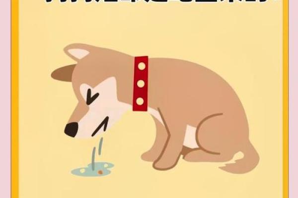 属狗与属牛的和谐饮食：命理与健康的完美结合