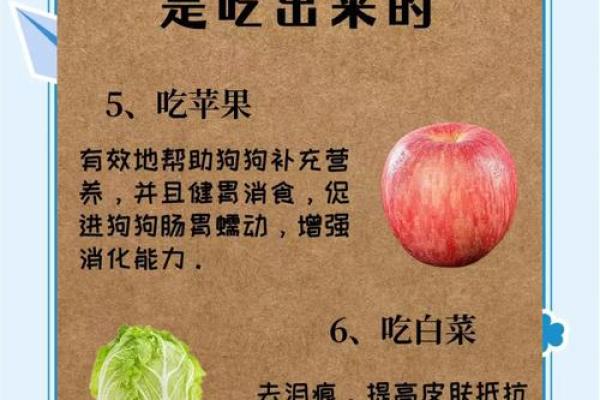 属狗与属牛的和谐饮食：命理与健康的完美结合