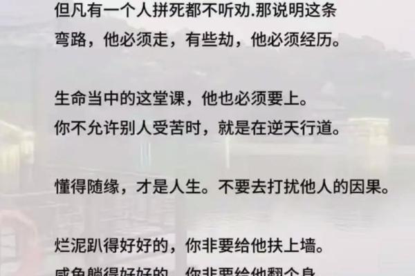 生来什么命就是什么命的哲思与启示:探寻命运的真谛 生来什么命就是什么命的哲思与启示:探寻命运的真谛
