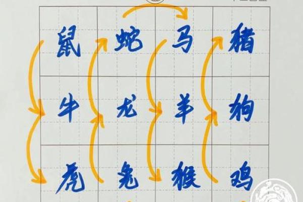 根据属相查命运：揭开你生命的秘密与智慧