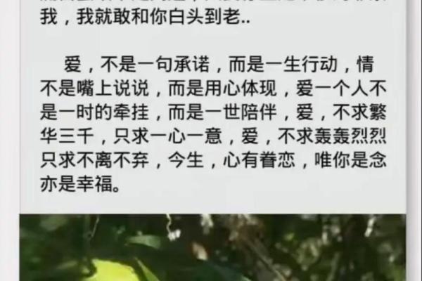 从视爱如命到心灵契合：我对爱的全新认识