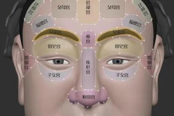 面相解析:稳重男命与魅力女命的秘密 面相解析:稳重男命与魅力女命的秘密