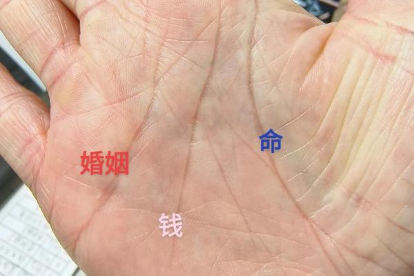 揭示女命财富与婚姻的秘密：如何判断发达命格？