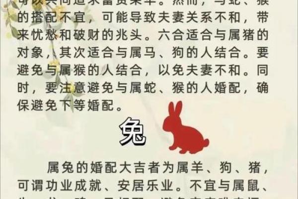 深入探讨:水猪命与各种命理的完美婚姻配对 深入探讨:水猪命与各种命理的完美婚姻配对