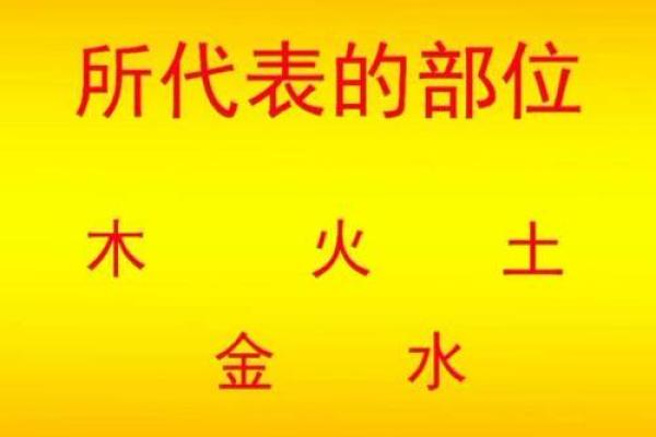 壬辰日出生者的命理分析：解读生肖与五行的深厚关系