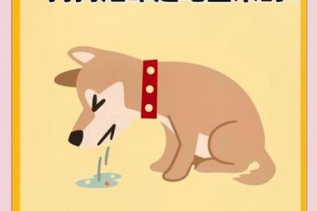 属狗与属牛的和谐饮食：命理与健康的完美结合