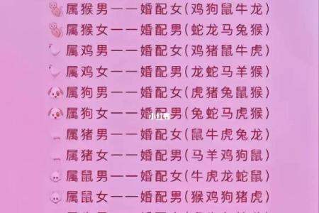 根据属相查命运：揭开你生命的秘密与智慧
