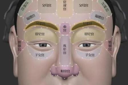 面相解析：稳重男命与魅力女命的秘密