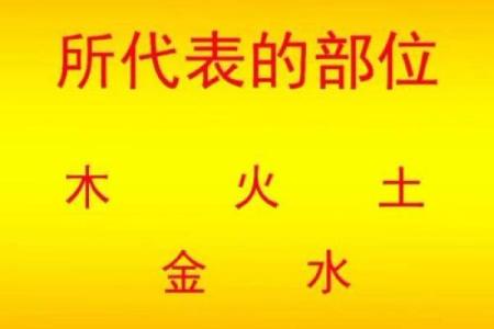 壬辰日出生者的命理分析：解读生肖与五行的深厚关系