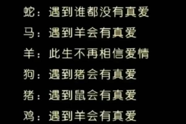 命中注定的生肖与七命说：探寻你的命运之路