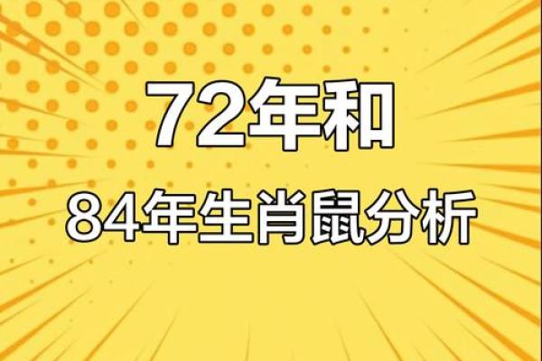 属鼠女的命格解析:聪慧灵动与命运之舞 属鼠女的命格解析:聪慧灵动与命运之舞