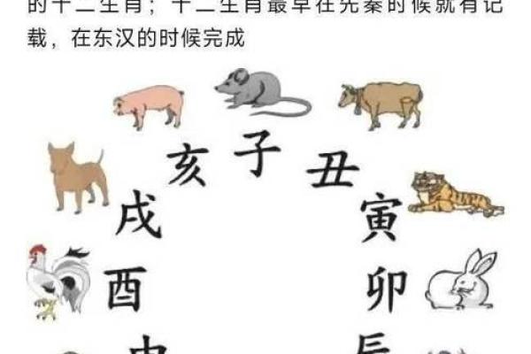 揭开农历六月初六出生的命理秘密：你的人生密码！