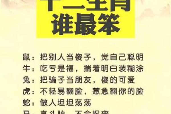 生肖鼠午时出生的命运解析：聪明机智，迎来辉煌人生