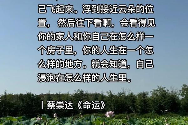 命运的抉择：当我了解到“一切都是我的命”时，我明白了什么