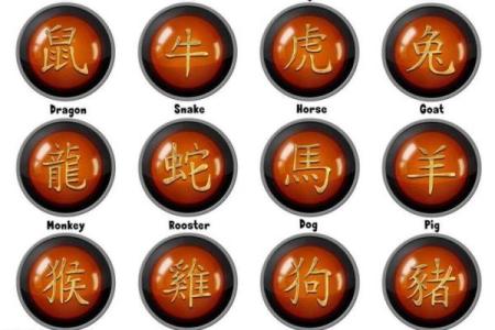 生肖龙的命运解析：老天爷赋予了怎样的命格？