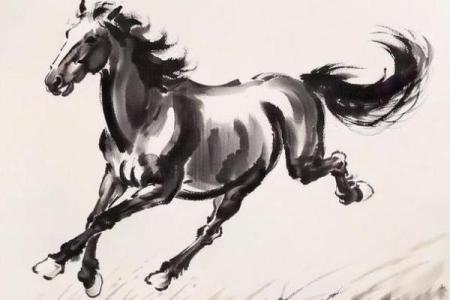 56岁后属马人的最佳命运与生活智慧