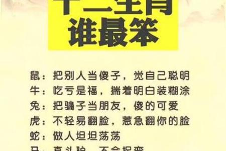 生肖鼠午时出生的命运解析：聪明机智，迎来辉煌人生