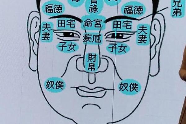 解密眉毛与命运之间的微妙关系,探寻富贵命的眉型之美! 解密眉毛与命运之间的微妙关系,探寻富贵命的眉型之美!