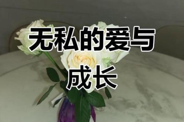 人视我如命：深度解析爱的无私与奉献之美
