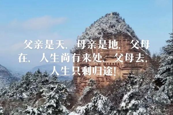 揭示命理背后的秘密:遇到垃圾父母对人生的深远影响 揭示命理背后的秘密:遇到垃圾父母对人生的深远影响