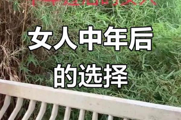 剩女的福命：当代女性的自我救赎与新生