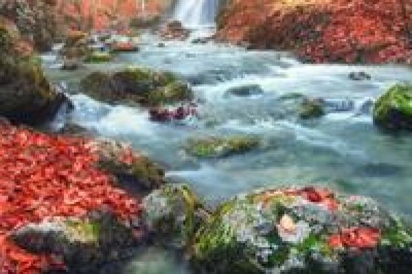 揭开瀑布水命的神秘面纱:探索命格与性格的深层联系 揭开瀑布水命的神秘面纱:探索命格与性格的深层联系