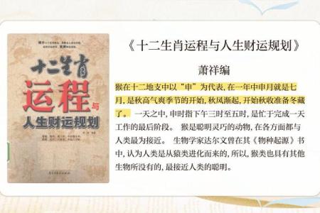 猴年生人的金命解析：智慧与财富的象征