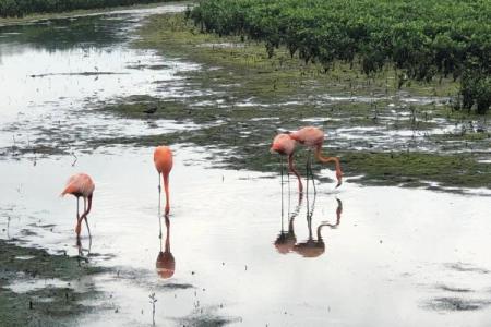 人类与鸟儿：友谊的永恒守候与自然的和谐共生