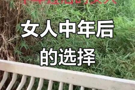 剩女的福命：当代女性的自我救赎与新生