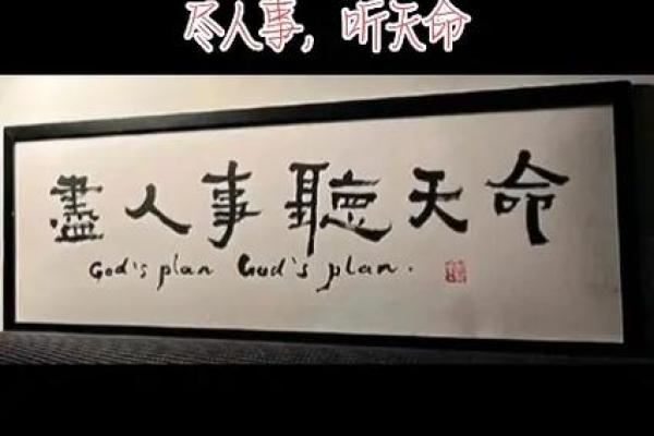 命运如歌，何以解忧？一曲听尽人生百态