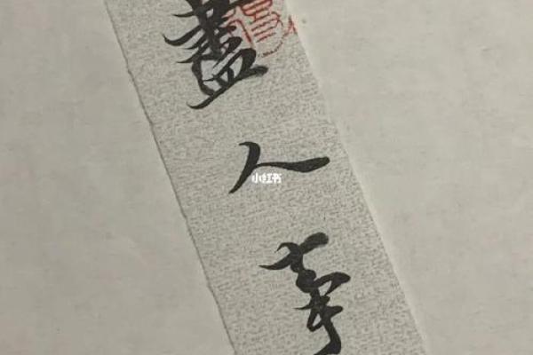 命运如歌，何以解忧？一曲听尽人生百态