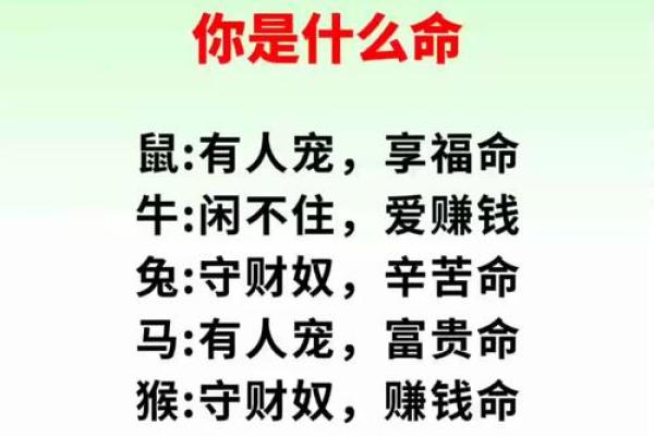根据你是什么命我是富贵命，解密不同命运的富贵密码！