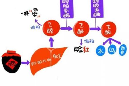 嗜酒如命的体质揭秘：身心健康与饮酒的关系解析