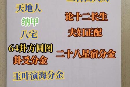 解密天地人三合：如何影响你的命运与人生轨迹