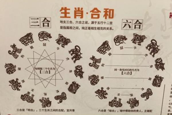 属蛇与属马的五行命理解析:揭开命运的神秘面纱 属蛇与属马的五行命理解析:揭开命运的神秘面纱