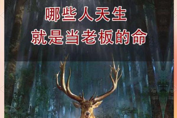 揭示命运的秘密：上等命、中等命与下等命的哲学探讨