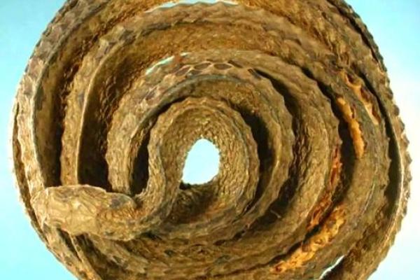 三十三岁的蛇,揭示命运的神秘之旅 三十三岁的蛇,揭示命运的神秘之旅