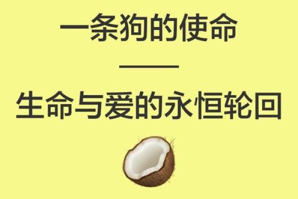 属狗人的前世命运探索:忠诚与勇气的灵魂之旅 属狗人的前世命运探索:忠诚与勇气的灵魂之旅