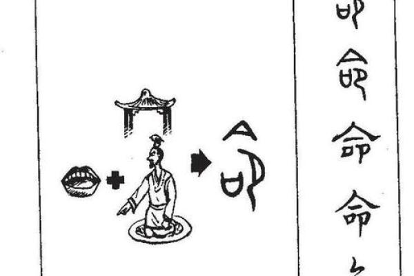 上等命、中等命、下等命：探索人生轨迹的不同层次