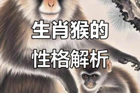 属猴92年出生的命运分析：智慧与魅力的结合