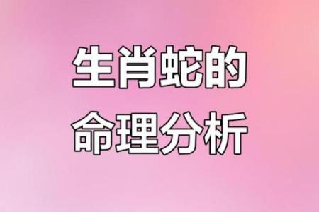 属蛇与属马的五行命理解析：揭开命运的神秘面纱